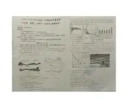 内蒙古自治区赤峰市翁牛特旗2024-2025学年七年级上学期期末地理试题
