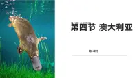 初中第四节 澳大利亚教学ppt课件