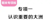 初中地理新人教版七年级下册期末专项一 认识重要的大洲作业课件2025春