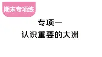 初中地理新湘教版七年级下册期末专项一 认识重要的大洲作业课件2025春