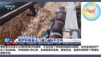 初中人教版（2024）俄罗斯教学演示ppt课件