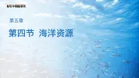 中图版（2024）七年级下册（2024）第5章 第四节 海洋资源教学ppt课件