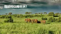 初中地理人教版（2024）七年级下册(2024)撒哈拉以南非洲教课内容课件ppt