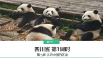 中图版（2024）第7章 第二节 四川省背景图ppt课件