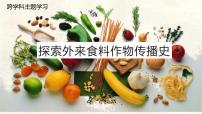 人教版（2024）七年级上册(2024)【跨学科主题学习】探索外来食料作物传播史授课ppt课件