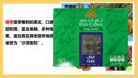 地理七年级下册（2024）西亚课文配套ppt课件