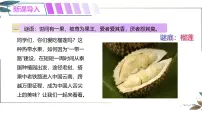 初中地理人教版（2024）七年级下册(2024)东南亚教学演示课件ppt