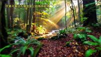 初中地理人教版（2024）七年级下册(2024)东南亚备课ppt课件