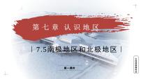 初中地理商务星球版（2024）七年级下册（2024）南极地区和北极地区教学课件ppt