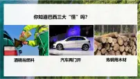 人教版（2024）七年级下册(2024)巴西教学课件ppt