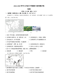 河南省驻马店市驿城区2024-2025学年七年级下学期期中地理试题
