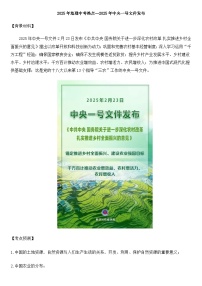 2025年地理中考热点--2025年中央一号文件发布    练习