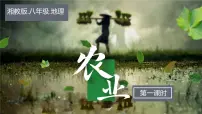 湘教版（2024）八年级上册（2024）第一节 中国的农业教课ppt课件