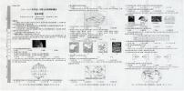 河南省信阳市平桥区2024-2025学年七年级上学期10月月考地理试题