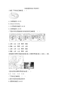 初中地理人教版（2024）七年级上册(2024)地形图的判读习题
