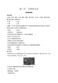 人教版（2024）七年级上册(2024)多样的文化复习练习题