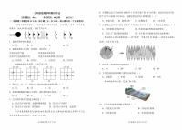 辽宁省阜新市实验中学2025-2026学年七年级上学期期中地理期中试卷（无答案）