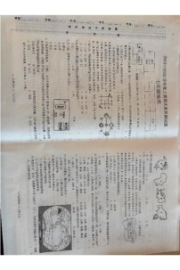 河南省驻马店市新蔡县2024-2025学年七年级上学期期末地理试题