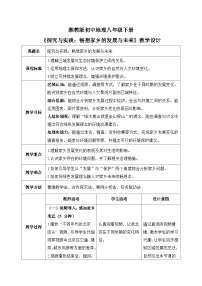 湘教版（2024）八年级下册（2024）探究与实践 畅想家乡的发展与未来优秀教案