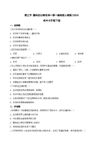 人教版（2024）七年级下册(2024)撒哈拉以南非洲课时练习