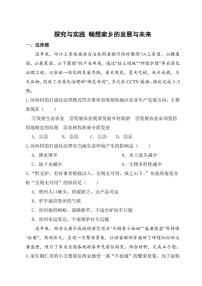 湘教版（2024）八年级下册（2024）探究与实践 畅想家乡的发展与未来一课一练