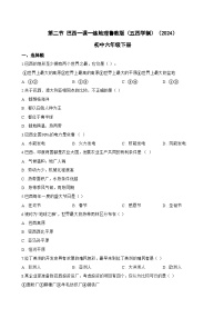初中地理鲁教版（五四学制）（2024）六年级下册（2024）第二节 巴西一课一练