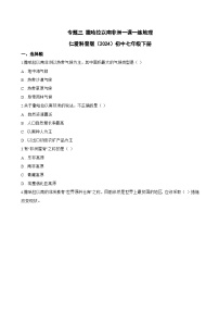 地理七年级下册（2024）单元二 了解特色鲜明的地区专题三 撒哈拉以南非洲课后作业题