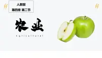 初中地理人教版 (新课标)八年级上册第二节 农业一等奖ppt课件