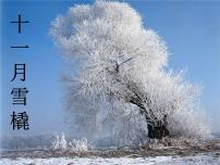 初中音乐人教版八年级上册第六单元 冬之旅欣赏 十一月•雪橇教学ppt课件