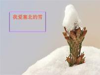 我爱你，塞北的雪PPT课件免费下载