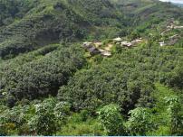 2020-2021学年中国民族乐器授课ppt课件