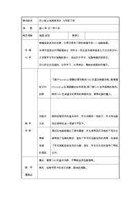 初中美术苏少版九年级下册第4课 另一种工具教学设计