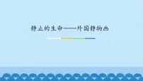 2020-2021学年第9课 静止的生命——外国静物画教课内容ppt课件