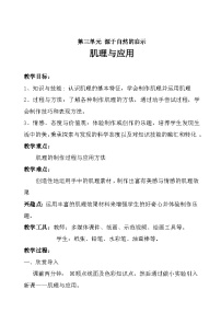 初中美术岭南版七年级下册6 肌理与应用教案设计