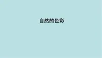 初中美术人美版（2024）七年级上册 （常锐伦、欧京海）（2024）自然的色彩课堂教学ppt课件