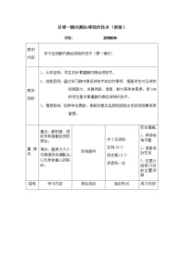 初中体育人教版八年级全一册第三章 足球表格教学设计