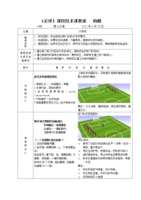 初中体育第三章 足球免费教学设计