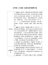 初中体育人教版八年级全一册第三章 足球教案