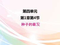 初中生物济南版八年级上册第四单元 物种的延续第一章 绿色开花植物的一生第四节 种子的萌发图文课件ppt