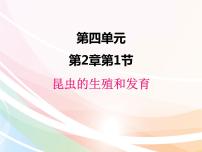 济南版八年级上册第一节 昆虫的生殖和发育教学演示课件ppt