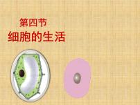 初中生物人教版 (新课标)七年级上册第四节  细胞的生活课文内容ppt课件