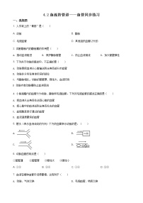 人教版 (新课标)七年级下册第四单元 生物圈中的人第四章 人体内物质的运输第二节 血流的管道──血管巩固练习