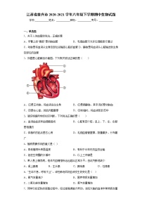 江苏省泰兴市2020-2021学年八年级下学期期中生物试题（word版 含答案）