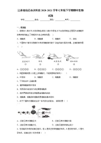 江苏省宿迁市沭阳县2020-2021学年七年级下学期期中生物试题（word版 含答案）