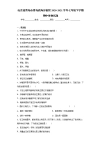 山东省青岛市青岛西海岸新区2020-2021学年七年级下学期期中生物试题（word版 含答案）