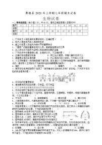 湖南省张家界市桑植县2020-2021学年七年级下学期期末考试生物试题（word版 含答案）