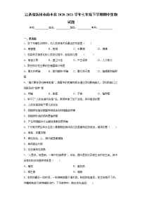 江西省抚州市南丰县2020-2021学年七年级下学期期中生物试题（word版 含答案）