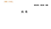 初中生物人教版 (新课标)八年级上册第五章  病毒习题课件ppt