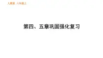 初中生物人教版 (新课标)八年级上册第五章 病毒复习课件ppt
