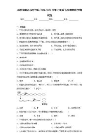 山东省临沂市罗庄区2020-2021学年七年级下学期期中生物试题（word版 含答案）